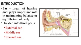 ANATOMY OF EAR AND VCN_031614.pptx ist year mbbs | PPTX