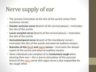 Nerve supply of ear
• The sensory innervation to the skin of the auricle comes from
numerous nerves:
• Greater auricular nerve (branch of the cervical plexus) – innervates
the skin of the auricle
• Lesser occipital nerve (branch of the cervical plexus) – innervates
the skin of the auricle
• Auriculotemporal nerve (branch of the mandibular nerve) –
innervates the skin of the auricle and external auditory meatus.
• Branches of the facial and vagus nerves – innervates the deeper
aspect of the auricle and external auditory meatus
• Some individuals can complain of an involuntary cough when
cleaning their ears – this is due to stimulation of the auricular
branch of the vagus nerve (the vagus nerve is also responsible for
the cough reflex
 