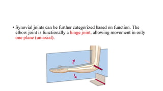 ANATOMY OF ELBOW JOINT.pptx