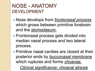 Anatomy of nose and para nasal sinuses . by DR. MD. KHURSHID PERVEJ ...