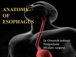Dr. Chinamilli Jaahnavi
Postgraduate
MS (Gen. surgery)
 