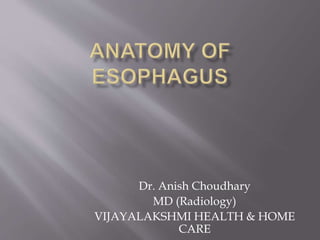 Dr. Anish Choudhary
MD (Radiology)
VIJAYALAKSHMI HEALTH & HOME
CARE
 