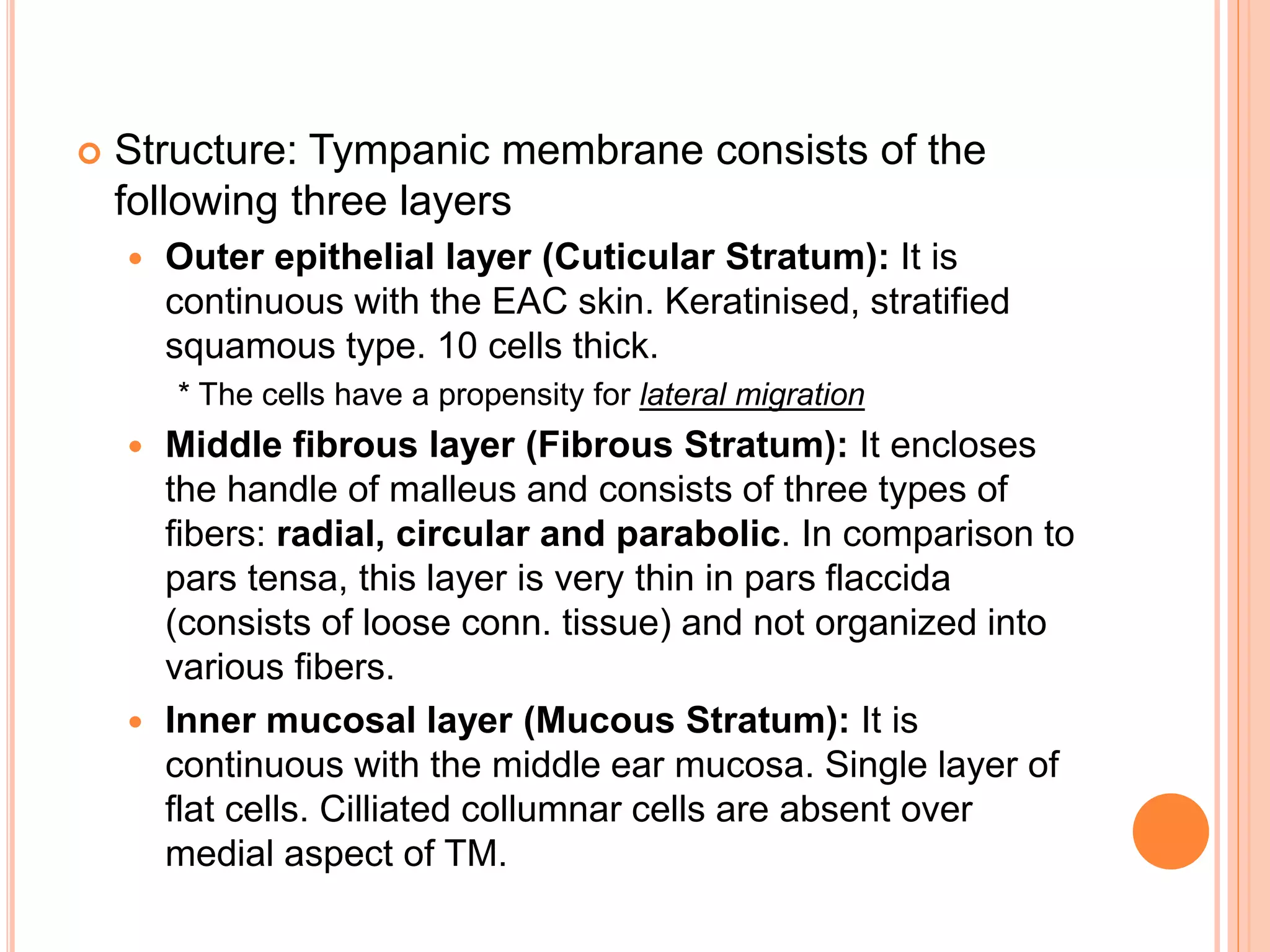 Anatomy of External Ear and Middle Ear | PPTX