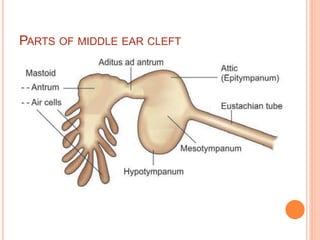 Attic Middle Ear Diagram