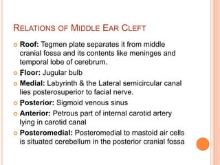 Anatomy of External Ear and Middle Ear | PPT