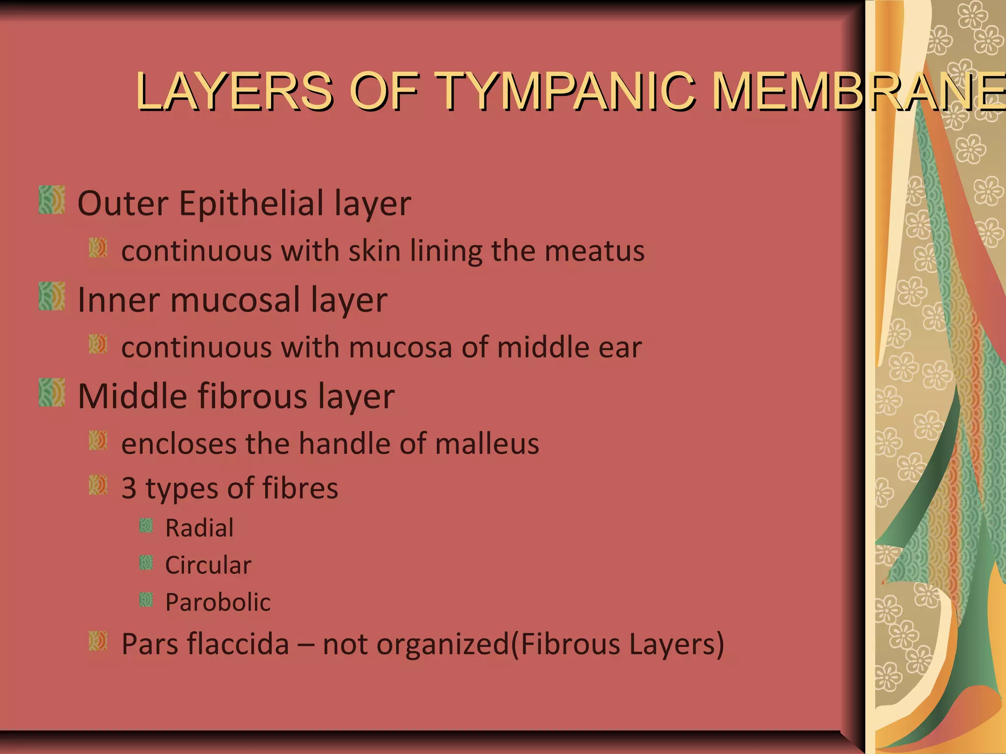 Anatomy of external ear | PPT