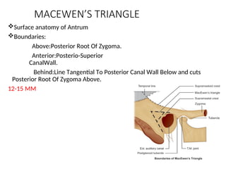 Anatomy Of External And Middle Ear .ppt