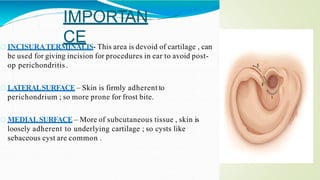 Anatomy of external and middle ear by dr. faisal rahman | PPTX