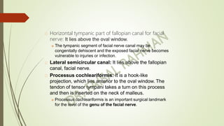 Anatomy of external and middle ear by dr. faisal rahman | PPTX