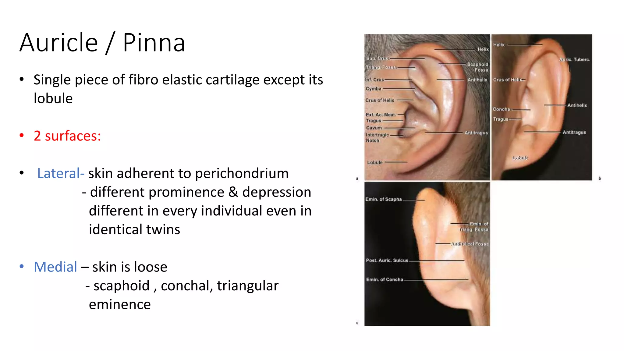 anatomy of external ear ^0 middle ear.pptx