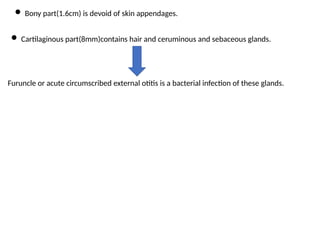 Shell Of An Ear Anatomy of External Ear (1).pptx in detail | PPTX