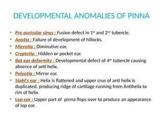 ANATOMY OF EXTERNAL EAR (1).pptx ANATOMY OF EXTERNAL EAR | PPTX