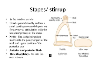 Anatomy of External ear and Middle ear cleft.pptx
