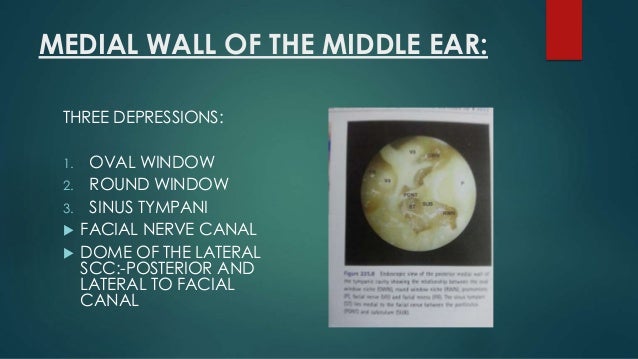 Anatomy of external n middle ear