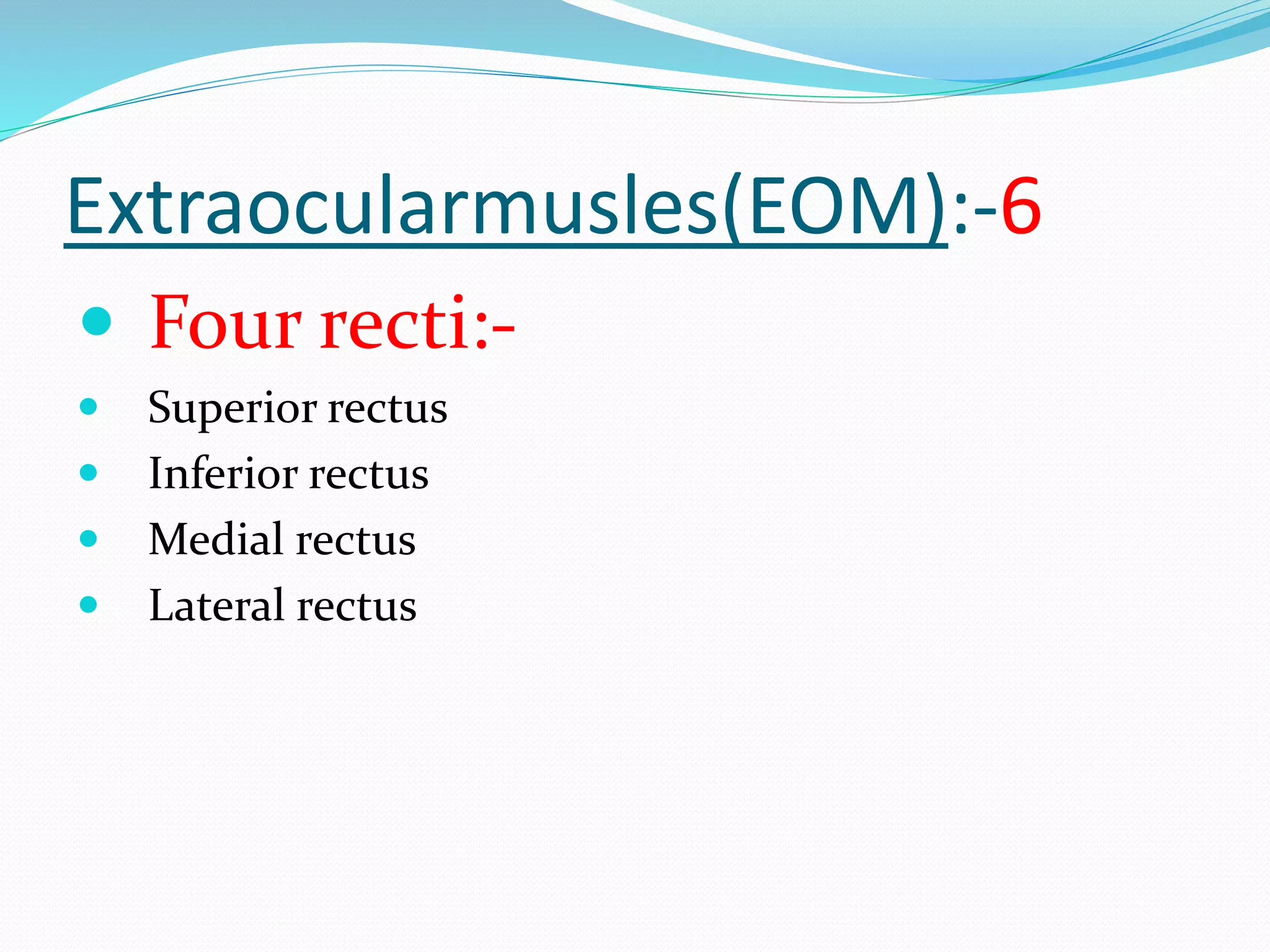 Extraocularmusles(EOM):-6 
 Four recti:- 
 Superior rectus 
 Inferior rectus 
 Medial rectus 
 Lateral rectus 
 