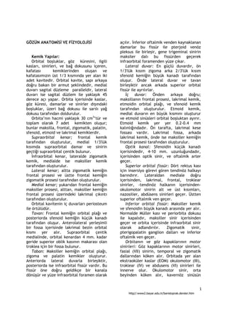 Anatomy of eye | PDF