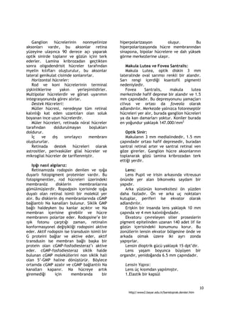 Ganglion      hücrelerinin     nonmyelinize     hiperpolarizasyon         oluşur.       Bu
aksonları vardır, bu aksonlar retina               hiperpolarizasyonda hücre membranından
yüzeyine ulaşınca 90 derece açı yaparak            sinapsına, bipolar hücrelere ve dah yüksek
optik sinirde toplanır ve gözün içini terk         görme merkezlerine ulaşır.
ederler. Lamina kribrozadan geçtikten
sonra oligodendrisit hücreler tarafından              Makula Lutea ve Fovea Santralis:
myelin kılıfları oluşturulur, bu aksonlar             Makula Lutea, optik diskin 3 mm
lateral genikulat cisimde sonlanırlar.             lateralinde oval sarımsı renkli bir alandır.
   Horizontal hücreler:                            Sarı rengi içerdiği ksantofil pigmenti
   Rod ve koni hücrelerinin terminal               nedeniyledir.
şişkinliklerine     yakın     yerleşimlidirler.       Fovea      Santralis,    makula     lutea
Multipolar hücrelerdir ve görsel uyarımın          merkezinde hafif deprese bir alandır ve 1.5
integrasyonunda görev alırlar.                     mm çapındadır. Bu depresyonunu yamaçları
   Destek Hücreleri:                               clivus ve ortası da foveola olarak
   Müller hücresi, neredeyse tüm retinal           adlandırılır. Merkezde yalnızca fotoreseptör
kalınlığı kat eden uzantıları olan soluk           hücreleri yer alır, burada ganglion hücreleri
boyanan ince uzun hücrelerdir.                     ya da kan damarları yoktur. Koniler burada
   Müler hücreleri, retinada nöral hücreler        en yoğundur yaklaşık 147.000/mm2
tarafından       doldurulmayan        boşlukları
doldurur.                                             Optik Sinir:
   İç     ve    dış   sınırlayıcı    membranı         Makulanın 3 mm medialindedir, 1.5 mm
oluştururlar.                                      çapındadır ortası hafif depresedir, buradan
   Retinada      destek     hücreleri    olarak    santral retinal arter ve santral retinal ven
astrositler, perivasküler glial hücreler ve        göze girerler. Ganglion hücre aksonlarının
mikroglial hücreler de tariflenmiştir.             toplanarak gözü lamina kribrozadan terk
                                                   ettiği yerdir.
    Işığı nasıl algılarız:
    Retinamızda rodopsin denilen ve ışığa             Lens:
duyarlı fotopigment proteinler vardır. Bu             Lens Pupil ve irisin arkasında vitreusun
fotopigmentler, rod hücreleri üzerindeki           önünde yer alan bikonveks saydam bir
membranöz           disklerin   membranlarına      yapıdır.
gömülmüşlerdir. Ropodpsin içerisinde ışığa            Arka yüzünün konveksitesi ön yüzden
duyalı olan retinal isimli bir molekül yer         daha fazladır. Ön ve arka uç noktaları
alır. Bu disklerin dış membranlarında cGMP         kutuplar, periferi ise ekvator olarak
bağlantılı Na kanalları bulunur. Siklik GMP        adlandırılır.
bağlı haldeyken bu kanlar açıktır ve Na               Erişkin bir insanda lens yaklaşık 10 mm
membran içerisine girebilir ve hücre               çapında ve 4 mm kalınlığındadır.
membranını polarize eder. Rodopsine’e bir             Ekvatoru çevreleyen silier proseslerin
ışık fotonu çarptığı zaman, retinalın              pigment epitelinden uzanan 140 adet lif ile
konformasyonel değişikliği rodopsini aktive        gözün içerisindeki konumunu korur. Bu
eder. Aktif rodopsin ise transdusin isimli bir     zonüllerin lensin ekvator bölgesine önde ve
G proteini bağlar ve aktive eder, aktif            arkada olmak üzere iki ayrı zonda
transdusin ise membran bağlı başka bir             yapışırlar.
protein olan cGMP-fosfodiesteraz’ı aktive             Lensin dioptrik gücü yaklaşık 15 dpt’dir.
eder. cGMP-fosfodiesteraz siklik halde                Lens yaşam boyunca büyüyen bir
bulunan cGMP moleküllerini non siklik hali         organdır, yenidoğanda 6.5 mm çapındadır.
olan 5’-GMP haline dönüştürür. Böylece
ortamda cGMP azalır ve cGMP bağlantılı Na            Lensin Yapısı:
kanalları kapanır. Na hücreye artık                  Lens üç kısımdan yapılmıştır.
giremediği         için      membranda     bir       1.Elastik bir kapsül


                                                                                                          10
                                                       http//:www2.bayar.edu.tr/baristoprak.dersler.htm
 