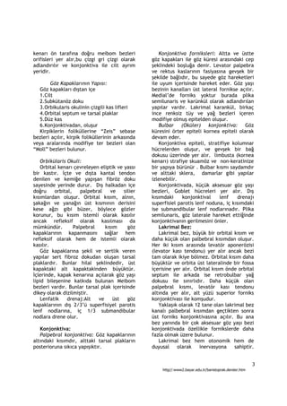 kenarı ön tarafına doğru meibom bezleri              Konjonktiva forniksleri: Altta ve üstte
orifisleri yer alır,bu çizgi gri çizgi olarak     göz kapakları ile göz küresi arasındaki cep
adlandırılır ve konjonktiva ile cilt ayrım        şeklindeki boşluğa denir. Levator palpebra
yeridir.                                          ve rektus kaslarının fasiyasına gevşek bir
                                                  şekilde bağlıdır, bu sayede göz hareketleri
        Göz Kapaklarının Yapısı:                  ile uyum içerisinde hareket eder. Göz yaşı
   Göz kapakları dıştan içe                       bezinin kanalları üst lateral fornikse açılır.
   1.Cilt                                         Medial’de forniks yoktur burada plika
   2.Subkütanöz doku                              semilunaris ve karünkül olarak adlandırılan
   3.Orbikularis okulinin çizgili kas lifleri     yapılar vardır. Lakrimal karankül, birkaç
   4.Orbital septum ve tarsal plaklar             ince renksiz tüy ve yağ bezleri içeren
   5.Düz kas                                      modifiye olmuş epitelden oluşur.
   6.Konjonktivadan, oluşur                          Bulbar (Oküler) konjonktiva: Göz
   Kirpiklerin foliküllerine “Zeis” sebase        küresini örter epiteli kornea epiteli olarak
bezleri açılır, kirpik foliküllerinin arkasında   devam eder.
veya aralarında modifiye ter bezleri olan            Konjonktiva epiteli, stratifiye kolumnar
“Moll” bezleri bulunur.                           hücrelerden oluşur, ve gevşek bir bağ
                                                  dokusu üzerinde yer alır. limbusta (kornea
    Orbikülaris Okuli:                            kenarı) strafiye skuamöz ve non-keratinize
    Orbital kenarı çevreleyen eliptik ve yassı    bir yapıya bürünür . Bulbar kısmı saydamdır
bir kastır. İçte ve dışta kantal tendon           ve alttaki sklera, damarlar gibi yapılar
denilen ve kemiğe yapışan fibröz doku             izlenebilir.
sayesinde yerinde durur. Dış halkadan içe            Konjonktivada, küçük aksesuar göz yaşı
doğru     orbital,    palpebral   ve     silier   bezleri, Goblet hücreleri yer alır. Dış
kısımlardan oluşur. Orbital kısım, alnın,         kısımdaki      konjonktival     lenf  drenajı
şakağın ve yanağın üst kısmının derisini          superfisiel parotis lenf noduna, iç kısımdaki
kese ağzı gibi büzer, böylece gözler              ise submandibular lenf nodlarınadır. Plika
korunur, bu kısım istemli olarak kasılır          semilunaris, göz laterale hareket ettiğinde
ancak refleksif olarak kasılması da               konjonktivanın gerilmesini önler.
mümkündür.         Palpebral    kısım      göz       Lakrimal Bez:
kapaklarının kapanmasını sağlar hem                  Lakrimal bez, büyük bir orbital kısım ve
refleksif olarak hem de istemli olarak            daha küçük olan palbebral kısımdan oluşur.
kasılır.                                          Her iki kısım arasında levatör aponerözisi
    Göz kapaklarına şekil ve sertlik veren        (levator kası tendonu) yer alır ancak bezi
yapılar sert fibroz dokudan oluşan tarsal         tam olarak ikiye bölmez. Orbital kısım daha
plaklardır. Bunlar hilal şeklindedir, üst         büyüktür ve orbita üst lateralinde bir fossa
kapaktaki alt kapaktakinden büyüktür.             içerisine yer alır. Orbital kısım önde orbital
İçlerinde, kapak kenarına açılarak göz yaşı       septum ile arkada ise retrobulbar yağ
lipid bileşenine katkıda bulunan Meibom           dokusu ile sınırlıdır. Daha küçük olan
bezleri vardır. Bunlar tarsal plak içerisinde     palpebral kısmı, levatör kası tendonu
dikey olarak dizilmiştir.                         altında yer alır, alt yüzü superior forniks
    Lenfatik    drenaj:Alt   ve     üst    göz    konjonktivası ile komşudur.
kapaklarının dış 2/3’ü superfisiyel parotis          Yaklaşık olarak 12 tane olan lakrimal bez
lenf nodlarına, iç 1/3 submandibular              kanalı palbebral kısımdan geçtikten sonra
nodlara drene olur.                               üst forniks konjonktivasına açılır. Bu ana
                                                  bez yanında bir çok aksesuar göz yaşı bezi
   Konjonktiva:                                   konjonktivada özellikle fornikslerde daha
   Palpebral konjonktiva: Göz kapaklarının        fazla olmak üzere bulunur.
altındaki kısımdır, alttaki tarsal plakların         Lakrimal bez hem otonomik hem de
posterioruna sıkıca yapışıktır.                   duyusal      olarak   inervasyona    sahiptir.


                                                                                                         3
                                                      http//:www2.bayar.edu.tr/baristoprak.dersler.htm
 