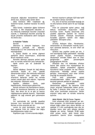 atlayarak doğrudan konjonktival venlere               Normal insanların yaklaşık %25’inde hafif
drene olur, bunlara aköz venler denir.            bir anizokori olması normaldir.
    Aköz hümörün %90’ı trabeküler ağ,                 İris, lens ve kornea arasındaki boşluğu ön
Schlemm kanalı, kolektör kanallar ile drene       ve arka kamara olmak üzere iki ayrı boşluğa
edilir.                                           ayırır.
    Aköz hümör, trabeküler ağdan Schlemm              İrisin ön yüzeyinde epitel yoktur, bağ
kanalına, a. Dev sitoplazmik vakuoller, b.        dokusu tarafından oluşturulan radial
Az miktarda endotelyel hücreler arasından         kıvrımlar vardır. Pupilla kenarında arka
sızarak, c. Endotelyal hücreler aracılığı ile     yüzdeki pigmente epitelin bir kısmını
küçük pinositik veziküllerle aktif transport      izlemek olasıdır. Patolojik durumlarda
ile drene olur.                                   buradaki pigment epiteli öne doğru
                                                  çekilebilir –Ektropion uvea-.
   b-Vasküler Tabaka                                  Yapısı:
   Koroid:                                            Stroma: Kollajen lifler, fibroblastlar,
   Skleranın iç yüzeyini kaplayan, ince           melanositler ve intersellüler matriks içerir.
kahverengi       yumuşak      bir    dokudur.     Aynı zamanda damarlar, ve sinir lifleri de
Posteriorda 0.2 mm anteriorda ise 0.1 mm          mevcuttur.
kalınlığındadır.                                      Sfinkter kas; pupiller zonda yer alır, 1
   İç yüzeyi düzdür ve retina pigment             mm kalınlığında halka şeklindedir. Kasıldığı
epiteline sıkıca tutunmuştur, aralarında          zaman pupilla küçülür, innervasyonu
Bruch membranı vardır.                            okulomotor sinirden köken alan ve silier
   Koroidin skleraya yapışma yerleri optik        gangliondan          gelen        parasempatik
sinir ve vorteks venlerinin çıkış noktalarıdır.   postganglionik liflerdir.
   Optik sinirin pia ve araknoidi ile                 Dilatatör kas; iris kökünden sfinkter
kaynaşır.                                         kasına dek uzanan ince myoepitelyal bir
   Yapısı:                                        tabakadır. Apikal proseseleri pigment
   Damar tabakası: Gevşek bir bağ dokusu          hücrelerini bazal prosesler ise kas liflerini
içerisinde    büyük     ve     orta    çaptaki    oluştururlar. Kasıldığı zaman pupilla
damarlardan oluşur. Bol miktarda melanosit        genişler. İnnervasyonu uzun silier sinirler
içerir. Arterler kısa posterior silier            aracılığı ile sempatik liflerdir.
arterlerin dallarıdır venler ise vorteks              İrisin     arka     yüzeyindeki      epitel
venleri olarak gözü terk ederler. Yapısında       nöroektodermden köken alır. Apeksleri
bol miktarda melanosit vardır.                    karşılıklı gelecek şekilde iki tabakadır.
   Kapiller      tabakası:     Geniş      çaplı       Kanlanması         stromadaki        radial
kapillerlerdir, fenestrasyon gösterirler.         damarlardan sağlanır. Bu damarlar irisin
   Koroid retinanın dış katmanlarını besler,      major arteriyel halkasından köken alırlar.
gözün ön kısımlarına damarları ve sinirleri       Bu halka 7 anterior silier arter ve 2 uzun
taşır. Kan akımı ile ısı ve göz içi basıncı       silier arter tarafından oluşturulur. Venler
regülasyonuna katkıda bulunur. Yapısındaki        arterleri takip eder ve vorteks venlerine
pigment ile ışığı emerek geri yansımasını         açılırlar.
önler.
   İris:                                              Aköz Hümör –Göz İçi Sıvısı- Yapımı:
   İris santralinde bir açıklığı (pupilla)            İrisin arkasında silier prosesler yer alır.
bulunan ince kontraktil bir membrandır.           Silier prosesler, iris bitiminden başlayan ve
Kornea ve lens arasında yer alır.                 arkaya doğru giden pars plana denilen ve
   Lensin ön yüzü konvekstir, irise hafif         yaklaşık 2-3 mm uzunluğunda olan düz bir
bası yaparak irisin bir miktar öne doğru          alandan sonra olan pars plikata denilen
bombeleşmesine neden olur.                        bölgede yer alırlar. Yaklaşık 70-80 kadar
   Pupillanın çapı 1-8 mm arasında değişir.       silier proses vardır, aköz hümör silier
                                                  proseslerin üzerini örten nonpigmente


                                                                                                          7
                                                       http//:www2.bayar.edu.tr/baristoprak.dersler.htm
 