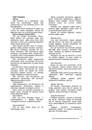 SİNİR TABAKASI:                                   Rodlar karanlıkta görmemizi sağlarlar,
   Retina:                                        grinin tonlarında algılamamızı sağlarlar.
   Göz küresinin en iç katmanıdır, ince           Rodların sayısı yaklaşık 110-125 milyon,
şeffaf bir membrandır. Optik disk                 konilerin    sayısı  ise    6.3-6.6  milyon
yakınlarında 0.5 mm periferde ise 0.1 mm          arasındadır.
kalınlığındadır.                                     Foveada (sarı noktada) rodlar yoktur,
   Dış yüzeyi Bruch membranı iç yüzeyi ise        perifere doğru gidildikçe sayıları artar ve
vitreus ile temas halindedir. Retina dış          uç periferde gene sayıları azalır.
pigmente kısım ve iç nöral kısımdan oluşur.          Koniler ise foveada yoğundur, sayıları
   Retina Pigment Epiteli (RPE):                  perifere doğru azalır.
   Tek sıra altıgen hücrelerden oluşur.
Optik diskten ora serrataya kadar aynı               Rod Hücreleri:
karakterde uzanır, daha sonra silier cisim           İnce uzun hücrelerdir, boyları yaklaşık
üzerinde ve irisin arka yüzeyinde pigmente        100-120 µm’dir. Dış kısım ışık uyarımının
epitel olarak devam eder.                         alındığı bölgedir, burada fotosensitif bir
   Arka kutupta hücreler uzun ve incedir,         pigment olan rodopsin bulunur.
perifere doğru gittikçe hücreler yassılaşır.         Bir rod hücresinin dış kısmında yaklaşık
RPE Bruch membranı üzerinde yer alır.             600-1000 adet transvers yerleşimli disk
Bruch membranı, RPE hücrelerinin bazal            vardır. Rodopsin bu disklerin membranları
membranı, dış kollajen lifler, elastik lifler,    üzerinde yer alır.
iç kollajen lifler ve koriokapiller damarların       Birleştirici bir sap ile hücrenin iç kısmı
bazal membranlarından oluşur.                     ile iletişim sağlanır. İç kısım myoid ve
   RPE hücrelerinin apikal yüzeylerinde           elipsoid denilen kısımlardan oluşmuştur.
mikrovilliler vardır, bu hücreler rod ve koni
hücrelerinin dış segmentleri ile yakın temas         Koni Hücreleri:
halindedir.                                          Bunlar da uzun ince hücrelerdir, 65-75
   Bu hücrelerin bazal kısımlarında zonula        µm boyunda. Yapıları hemen hemen rod
adherens, apikal kısımlarında ise zonula          hücrelerine benzer, yalnız dış kısımları koni
occludens vardır. Bu sayede kan retina            şeklindedir.
bariyerine katkıda bulunur, ve retinaya              Rodlardan farklı olarak bu hücrelerin dış
toksik maddelerin ulaşmasını kısıtlar.            segmentleri    RPE     tarafından    fagosite
   RPE hücreleri rod hücrelerinin dış             edilmez.
segmentleri yenilenirken eski kısımların             Rodopsine     benzer     iodopsin   grubu
fagositozunda görev alırlar.                      fotosensitif moleküller içerirler.
   Fonksiyonları:
   Işığın absorpsiyonu, rod hücrelerinin dış         Bipolar Hücreler:
segmentlerinin yenilenmesi, Vitamin A                Bu hücreler, fotoreseptör terminali ile
üzerinden rodopsin ve iodopsin üretimi.           sinaps yaptıktan sonra tek bir aksonu ile
   Nöral retina ile arasında potansiyel bir       ganglion veya amakrin hücrelerle sinaps
boşluk vardır, buradan bir ayrılma olursa         yaparak, sinyal iletiminde rol oynarlar.
retina dekolmanı gelişir.
   Nöral Retina:                                     Ganglion Hücreleri:
   Dört ana grup hücreden oluşur. 1.                 Ganglion hücreleri, retinanı iç kısmında
Fotoreseptörler, 2. Bipolar hücreler,             yer alırlar. Retinanın büyük bir kısmında
3.Ganglion hücreleri, 4.Destek hücreleri          tek bir katman oluştururlar ancak optik
                                                  sinire yaklaşıldığında bu katmanların sayısı
   Fotoreseptörler:                               artar.
   Rod ve koni olmak         üzere    iki   tip      Ganglion       hücreleri   multipolardır,
fotoreseptör vardır.                              dendritleri bipolar ve amakrin hücrelerin
                                                  aksonları ile sinaps yapar.


                                                                                                         9
                                                      http//:www2.bayar.edu.tr/baristoprak.dersler.htm
 