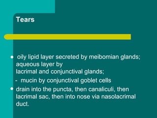 Tears
● oily lipid layer secreted by meibomian glands;
aqueous layer by
lacrimal and conjunctival glands;
- mucin by conjunctival goblet cells
 drain into the puncta, then canaliculi, then
lacrimal sac, then into nose via nasolacrimal
duct.
 
