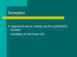Sensation
 trigeminal nerve, mostly via the ophthalmic
division
(maxillary to the lower lid).
 