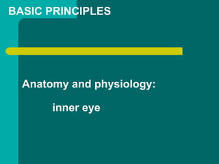 Anatomy and physiology:
inner eye
BASIC PRINCIPLES
 