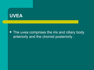  The uvea comprises the iris and ciliary body
anteriorly and the choroid posteriorly .
UVEA
 