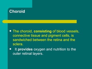 Choroid
 The choroid, consisting of blood vessels,
connective tissue and pigment cells, is
sandwiched between the retina and the
sclera.
 It provides oxygen and nutrition to the
outer retinal layers.
 