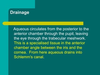 Drainage
Aqueous circulates from the posterior to the
anterior chamber through the pupil, leaving
the eye through the trabecular meshwork.
This is a specialised tissue in the anterior
chamber angle between the iris and the
cornea. From here aqueous drains into
Schlemm's canal.
 