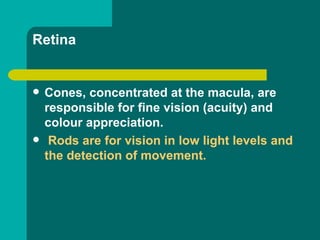 Retina
 Cones, concentrated at the macula, are
responsible for fine vision (acuity) and
colour appreciation.
 Rods are for vision in low light levels and
the detection of movement.
 
