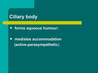 Ciliary body
 forms aqueous humour;
 mediates accommodation
(active-parasympathetic).
 
