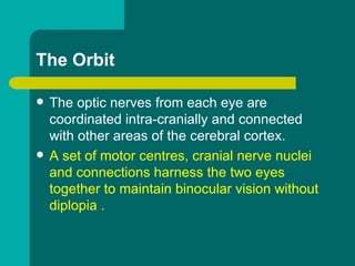 The Orbit
 The optic nerves from each eye are
coordinated intra-cranially and connected
with other areas of the cerebral cortex.
 A set of motor centres, cranial nerve nuclei
and connections harness the two eyes
together to maintain binocular vision without
diplopia .
 
