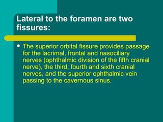 Lateral to the foramen are two
fissures:
 The superior orbital fissure provides passage
for the lacrimal, frontal and nasociliary
nerves (ophthalmic division of the fifth cranial
nerve), the third, fourth and sixth cranial
nerves, and the superior ophthalmic vein
passing to the cavernous sinus.
 