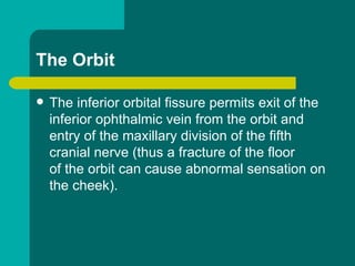 The Orbit
 The inferior orbital fissure permits exit of the
inferior ophthalmic vein from the orbit and
entry of the maxillary division of the fifth
cranial nerve (thus a fracture of the floor
of the orbit can cause abnormal sensation on
the cheek).
 