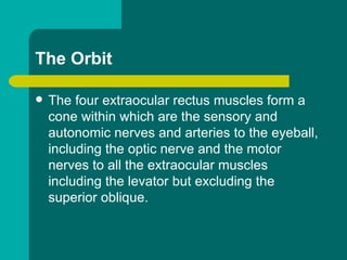 The Orbit
 The four extraocular rectus muscles form a
cone within which are the sensory and
autonomic nerves and arteries to the eyeball,
including the optic nerve and the motor
nerves to all the extraocular muscles
including the levator but excluding the
superior oblique.
 