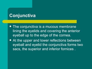 Conjunctiva
 The conjunctiva is a mucous membrane
lining the eyelids and covering the anterior
eyeball up to the edge of the cornea.
 At the upper and lower reflections between
eyeball and eyelid the conjunctiva forms two
sacs, the superior and inferior fornices .
 