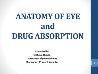 ANATOMY OF EYE
and
DRUG ABSORPTION
Presented by
Sneha A. Chavan
Department of pharmaceutics
M pharmacy 1st year II semester 1
 