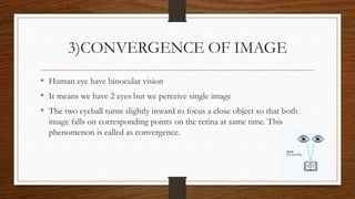 View Convergence ANATOMY & PHYSIOLOGY OF EYE.pptx