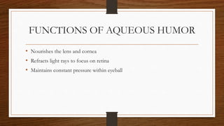 Humorous Function ANATOMY OF EYE.pptx