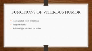 Viterous Humor Function ANATOMY OF EYE.pptx