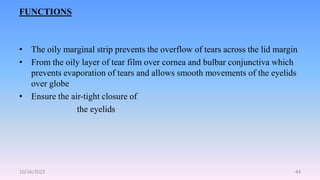 Anatomy of eye.pptx