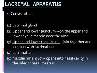 ANATOMY OF EYE - ophthalmology.pptx