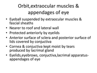 Anatomy Of Eyeball Mbbs Opthalmology Class Pptx