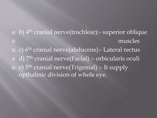 Anatomy of eyeball | PPTX