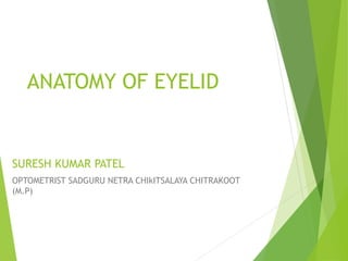 ANATOMY OF EYELID
SURESH KUMAR PATEL
OPTOMETRIST SADGURU NETRA CHIkITSALAYA CHITRAKOOT
(M.P)
 