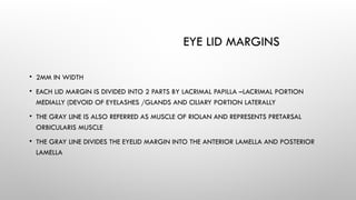 ANATOMY OF EYELID AND LACRIMAL APPARATUS.pptx