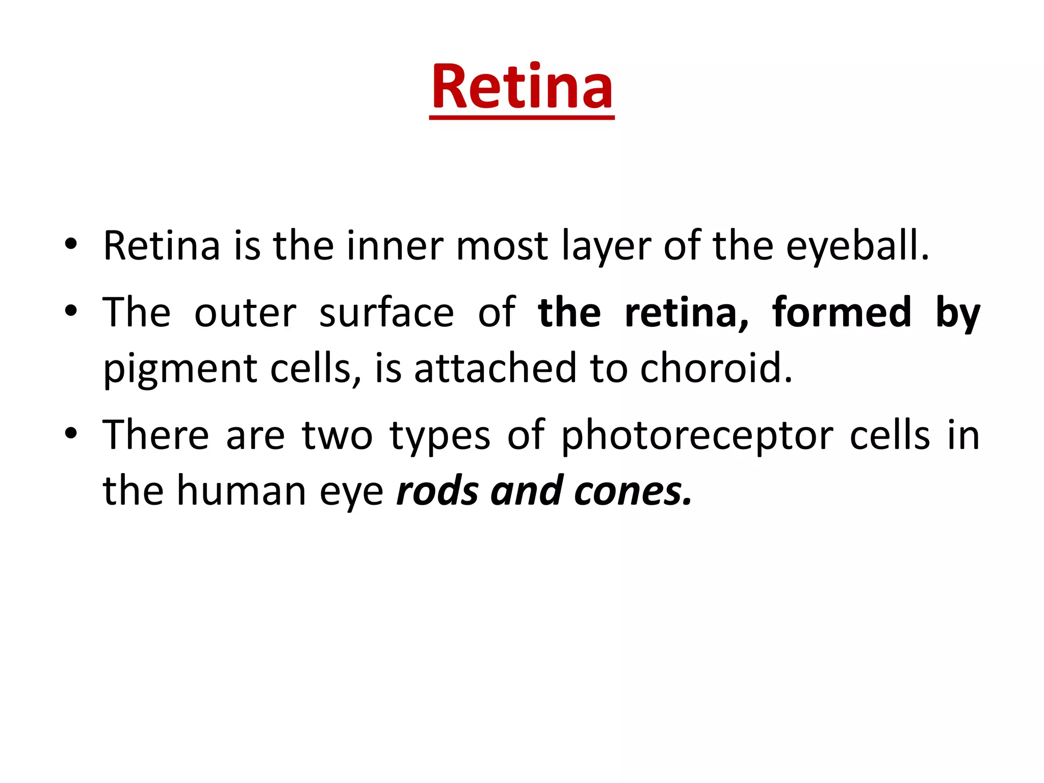ANATOMY OF EYE n.pdf