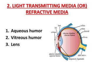 ANATOMY OF EYE n.pdf