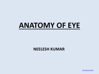 ANATOMY OF EYE
NEELESH KUMAR
Eye Anatomy Video
 